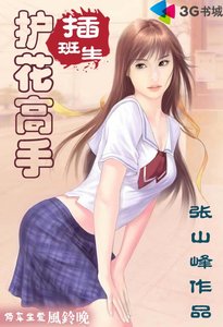 《护花高手插班生》