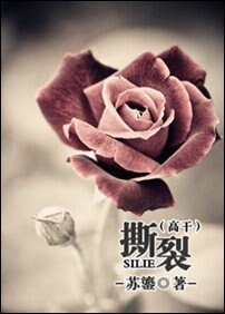 《撕裂(高干)》