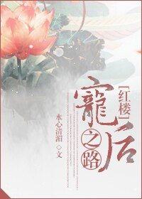(BG/红楼同人)宠后之路.