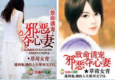 致命诱宠,邪恶夺心妻