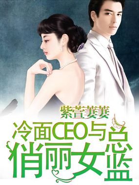 《冷面CEO与俏丽女总监》