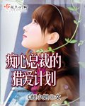 《痴心总裁的猎爱计划》