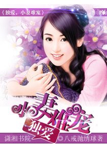 獨愛,小妻難寵