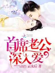 《首席老公,深入爱》