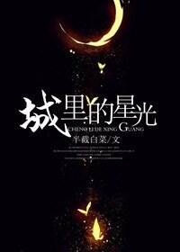 城里的星光（娱乐圈）